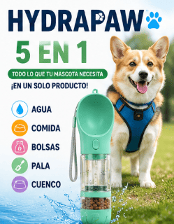 Bebedero Dispensador Para Mascotas